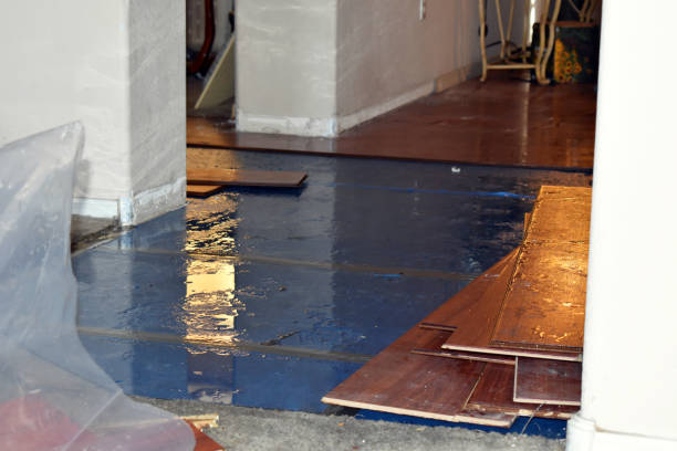 Professional Basement Flood Cleanup technician working in Athelstane, WI